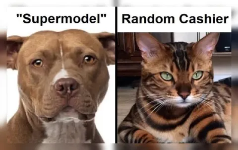 Supermodel and Random Cashier