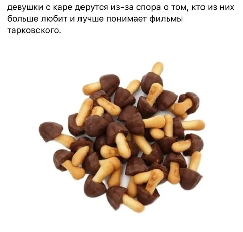 Девушки с каре спорят о Тарковском