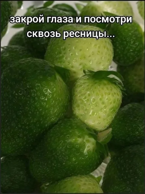 Закрой глаза и посмотри сквозь ресницы