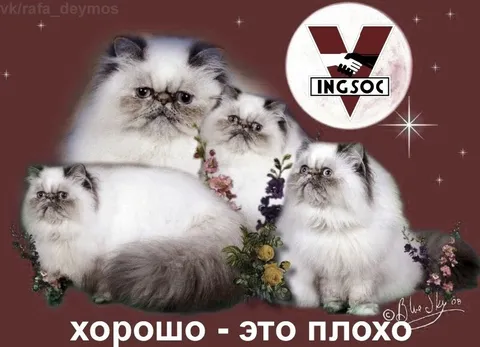 Хорошо — это плохо