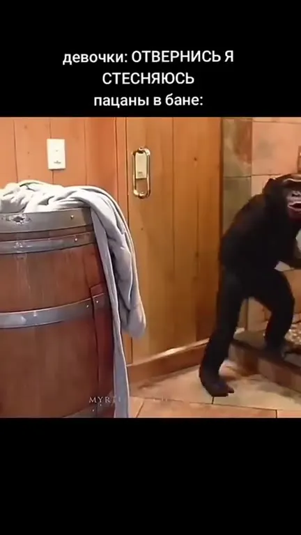 Пацаны в бане