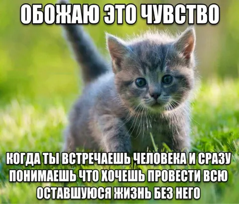 Когда встретил любовь всей жизни