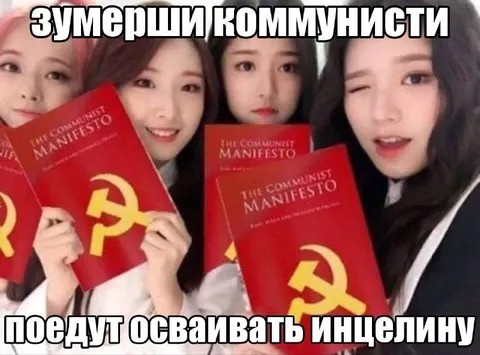 Зумерши-коммунистки осваивают инцелину