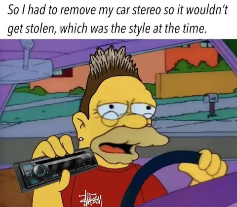 Car Stereo Theft Was the Style