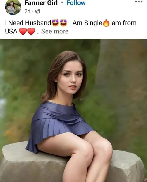 Farmer Girl Needs a Husband