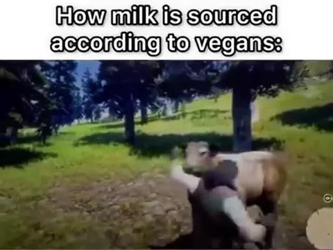 How Vegans Think Milk Is Sourced