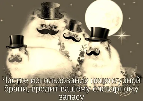 Коты в цилиндрах и мат