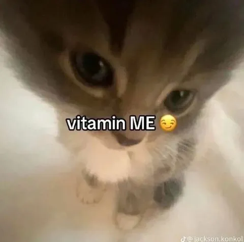 Vitamin Me Cat