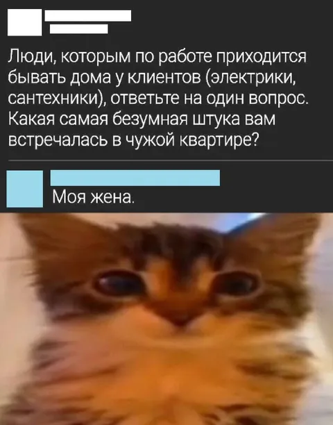 Самая безумная вещь в квартире