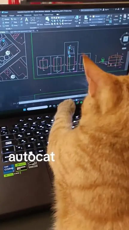 Autocat Designing in AutoCAD