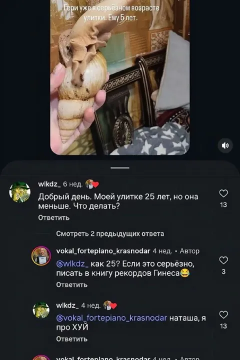 Улитка в серьёзном возрасте