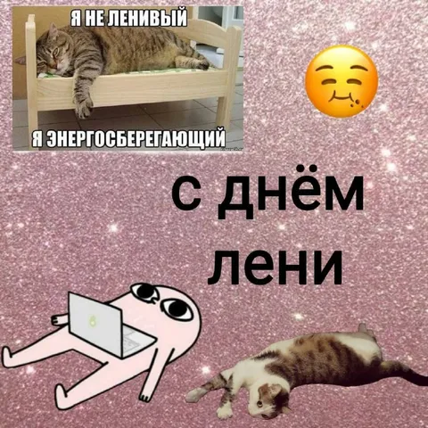 С днём лени энергосберегающий кот