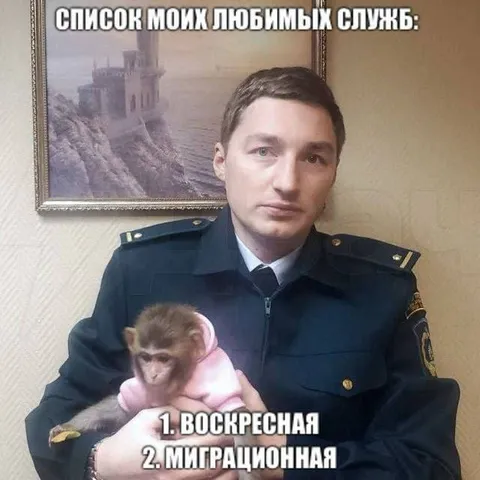 Список любимых служб
