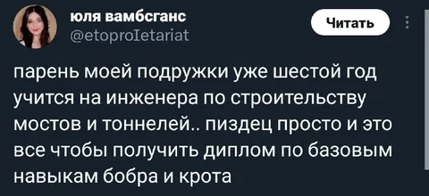 Диплом по базовым навыкам бобра