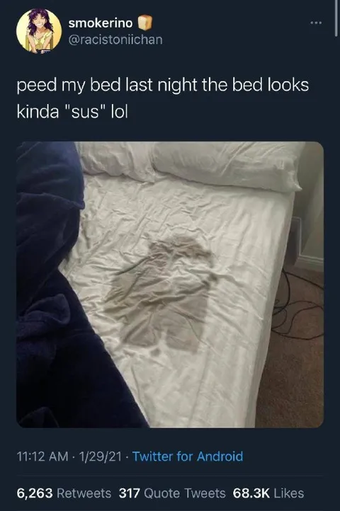 Sus-looking bed after peeing