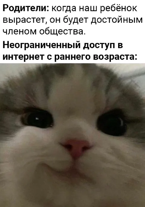 Кот после раннего интернета