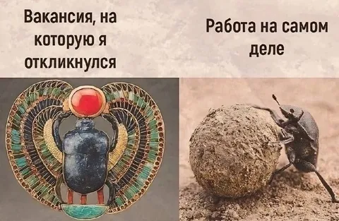 Вакансия и работа на самом деле