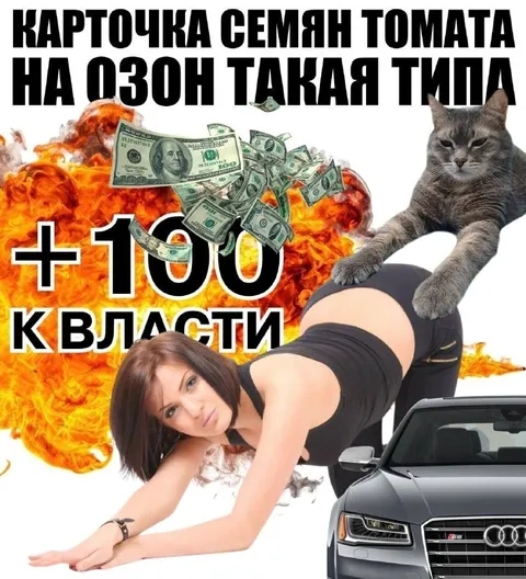 Карточка семян томата на Озон