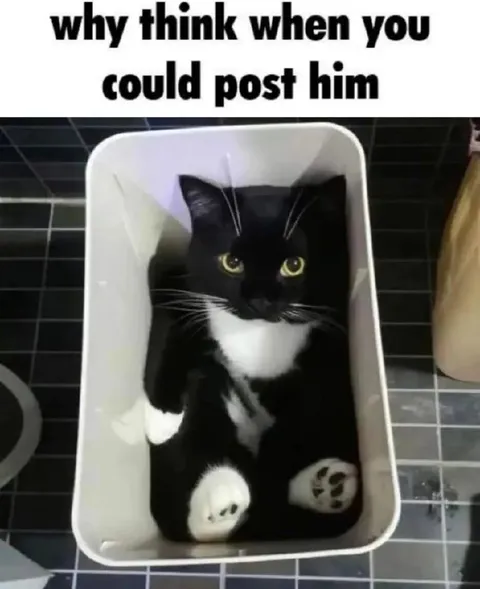 Why Think When You Could Post Him