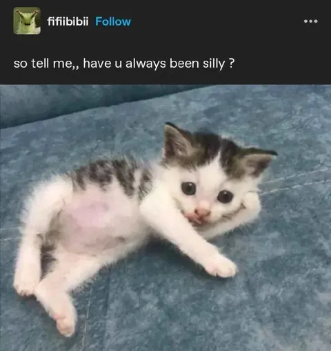 Have You Always Been Silly?