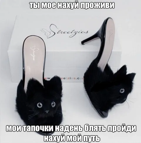Кототапочки не туда пошли