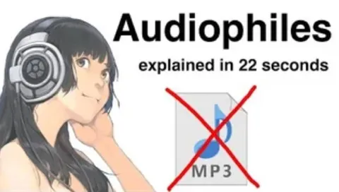 Audiophiles Explained in 22 Seconds