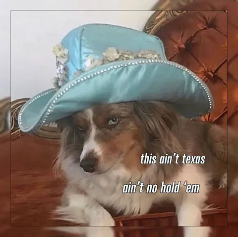 Dog Realizes It Isn't Texas