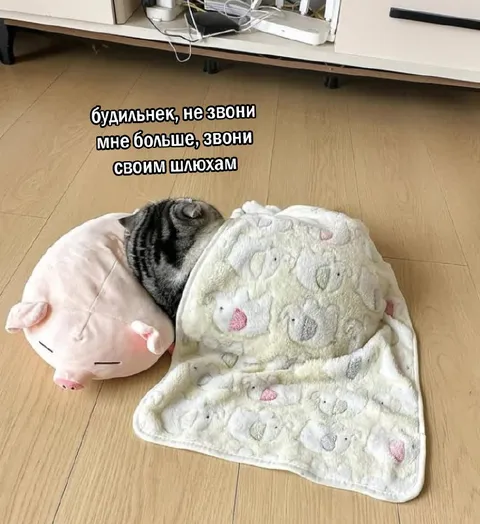 Будильник звони своим шлюхам