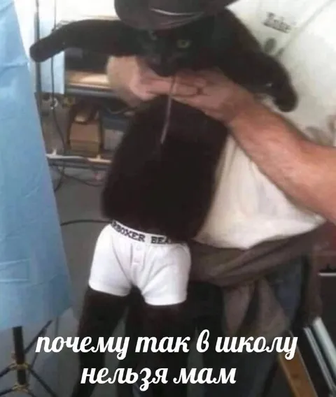 Почему так в школу нельзя, мам