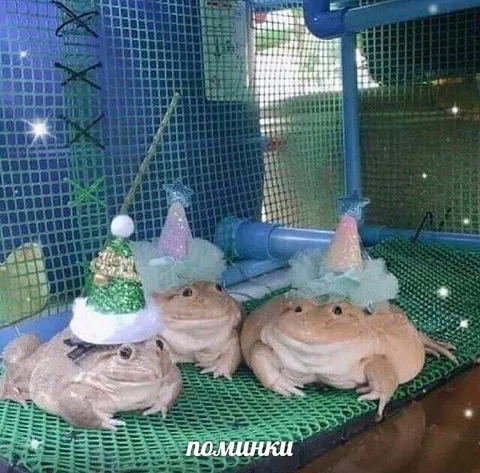 Лягушки на поминках
