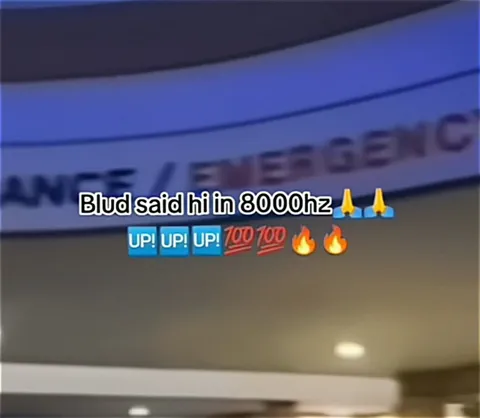 Blud Says Hi in 8000Hz