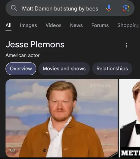 Matt Damon Stung by Bees