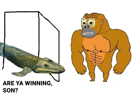 Are Ya Winning, Son? Fish Meme