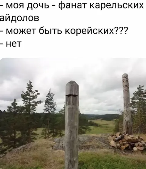 Дочь фанат карельских идолов
