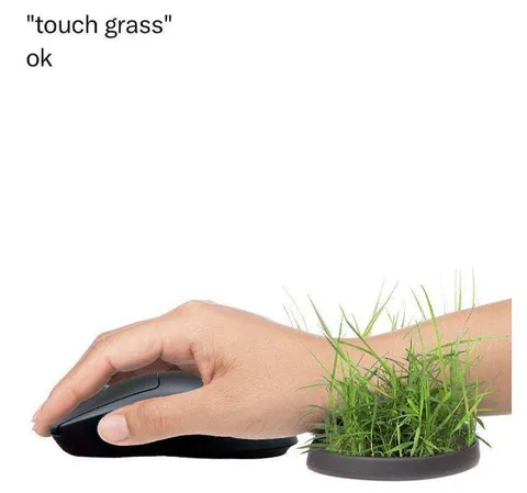 Touch Grass While Gaming