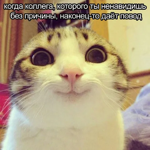 Наконец-то повод ненавидеть коллегу