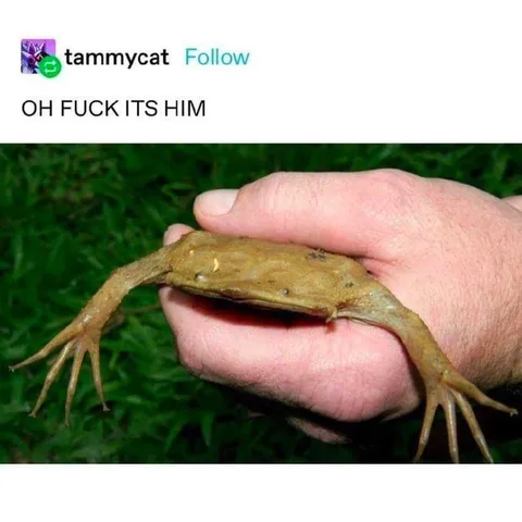 Oh Fuck It's Him Frog