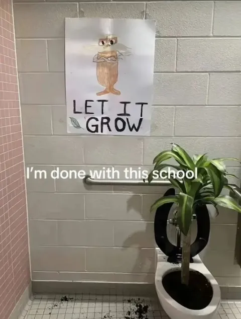 I'm Done With This School