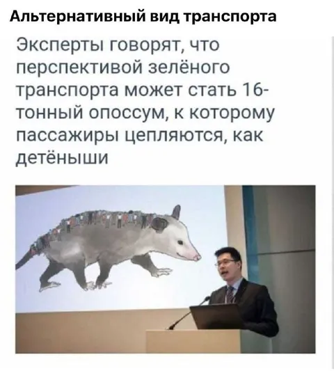 Опоссум как транспорт
