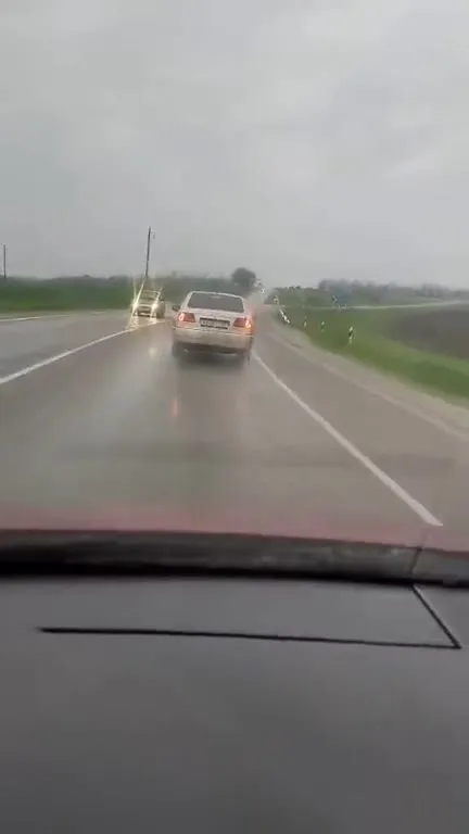 Погоня за курицей под дождём