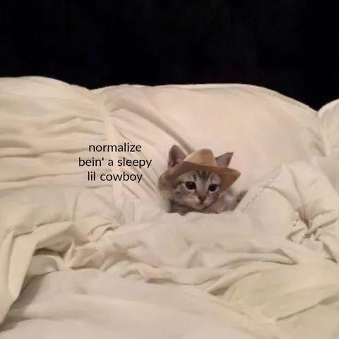 Sleepy Little Cowboy Cat