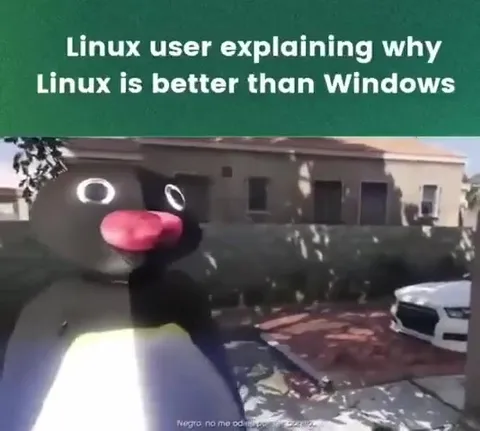 Linux User Explains Linux