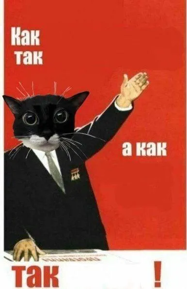 Кот-коммунист говорит «так»