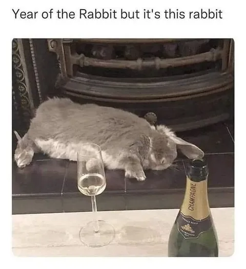 Year of the Rabbit Rabbit