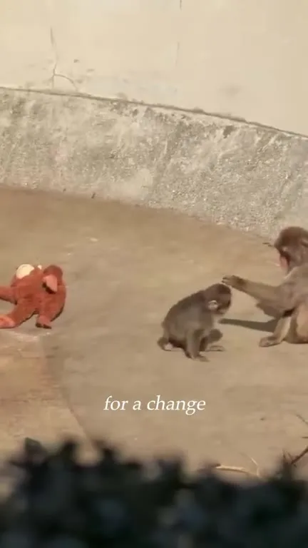 Please Please Please Let Me Get What I Want