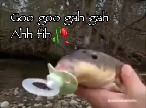 Goo Goo Gah Gah Fish