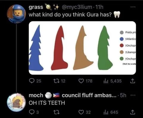 What Kind of Teeth Does Gura Have?
