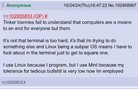 Linux Terminal Frustration