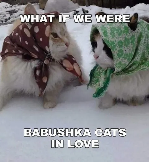 Babushka Cats in Love