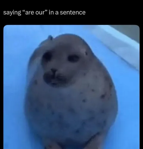 Saying are our in a sentence